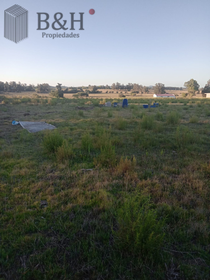 Camino de los Ceibos - GoPunta - Portal Inmobiliario de Punta del Este - Maldonado