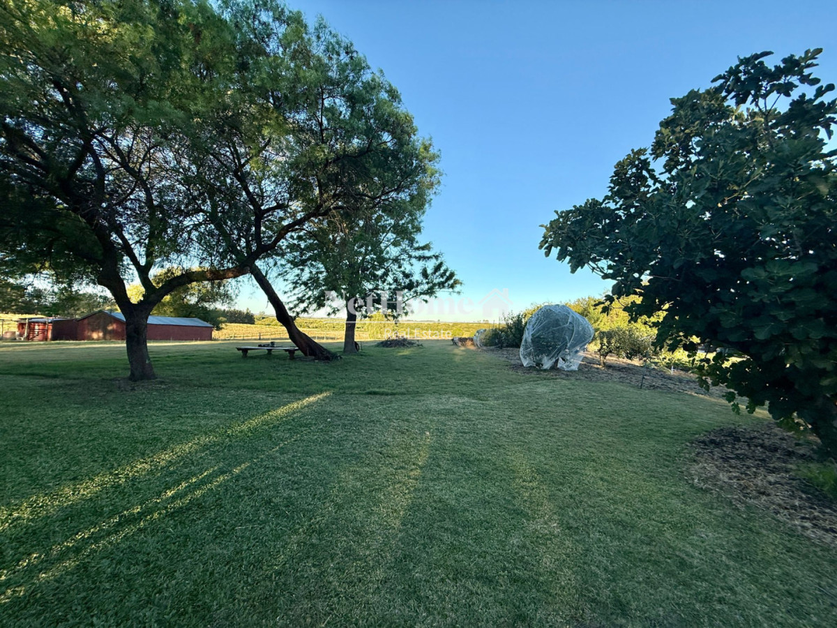 Chacra ID.365 - Ruta 39 Chacra con piscina climatizada, huerta, frutales. A 27 km de Punta del Este