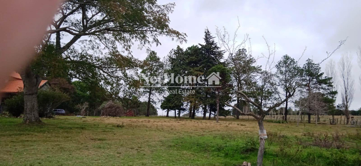 Chacra ID.365 - Ruta 39 Chacra con piscina climatizada, huerta, frutales.  A 27 km de Punta del Este