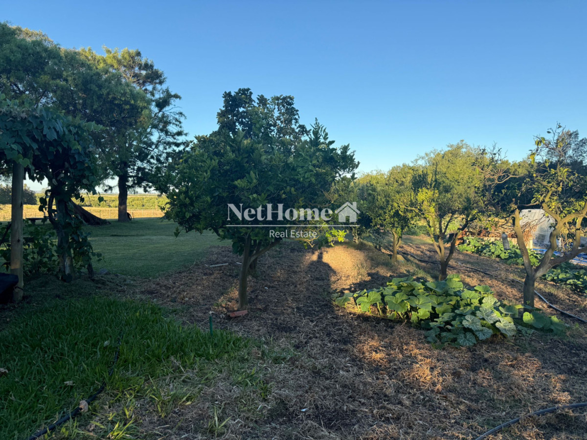 Chacra ID.365 - Ruta 39 Chacra con piscina climatizada, huerta, frutales. A 27 km de Punta del Este