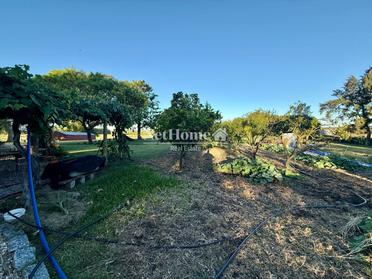 Chacra ID.365 - Ruta 39 Chacra con piscina climatizada, huerta, frutales. A 27 km de Punta del Este