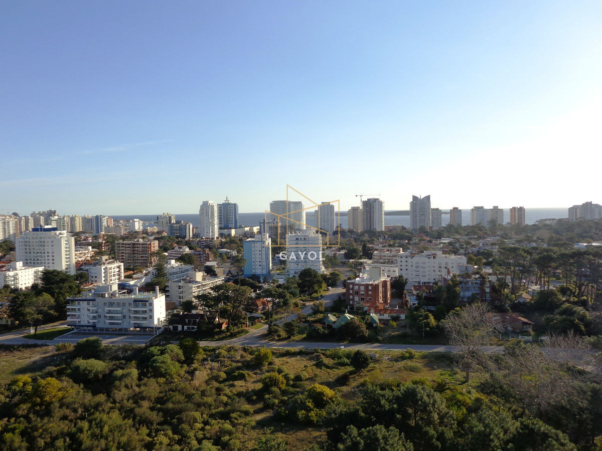 Apartamento ID.77 - Apartamento de 2 dormitorios en venta y alquiler de temporada en Punta del Este, zona Roosevelt
