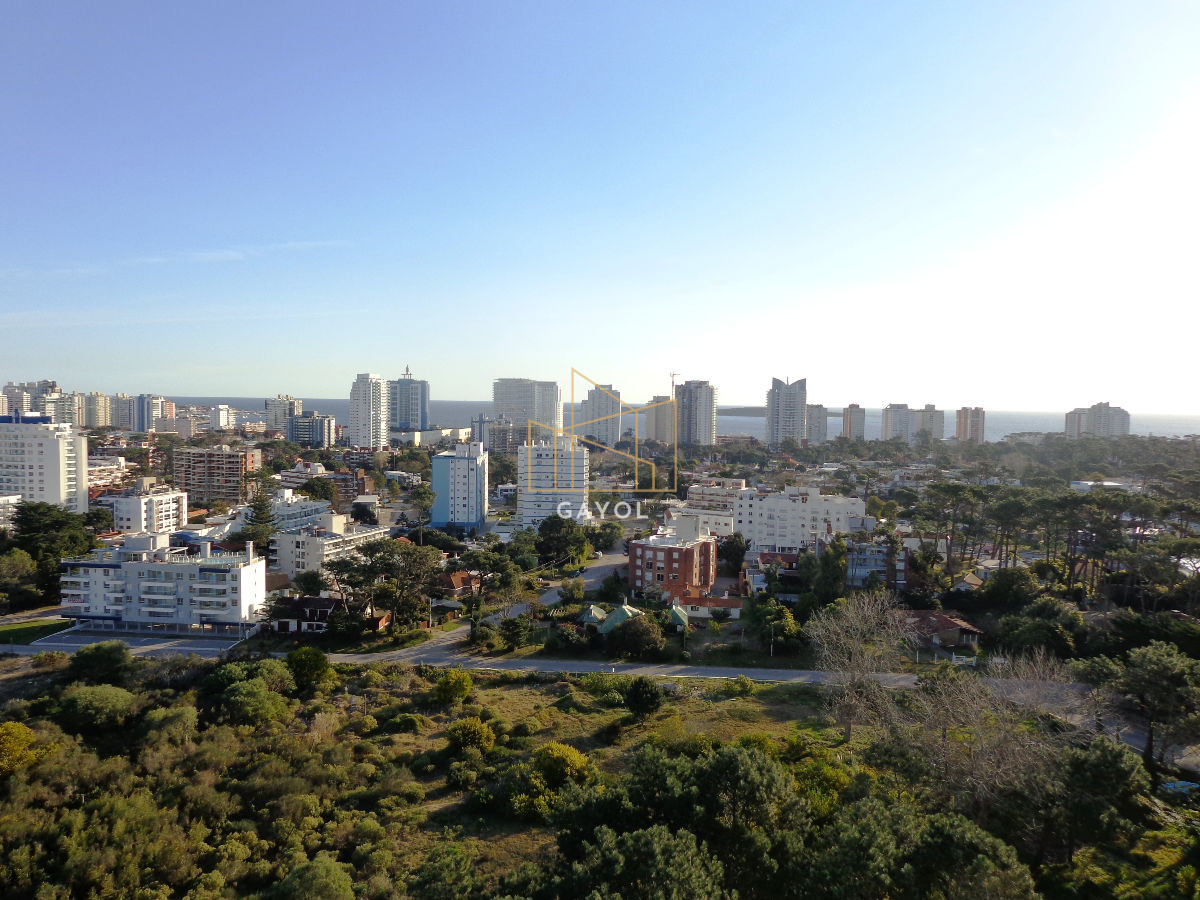 Apartamento ID.77 - Apartamento de 2 dormitorios en venta y alquiler de temporada en Punta del Este, zona Roosevelt