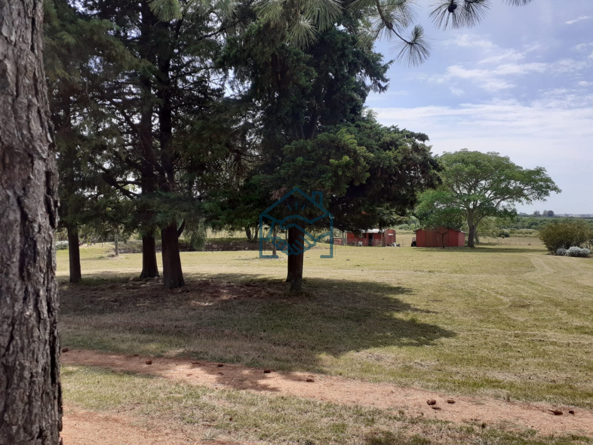 Chacra ID.556/Chacra-a-la-Venta-en--Uruguay--a-27-km-de--Punta-del-Este,-vivienda-con-piscina-climatizada,-huerta,-frutales - Chacra a la Venta en  Uruguay  a 27 km de  Punta del Este, vivienda con piscina climatizada, huerta, frutales