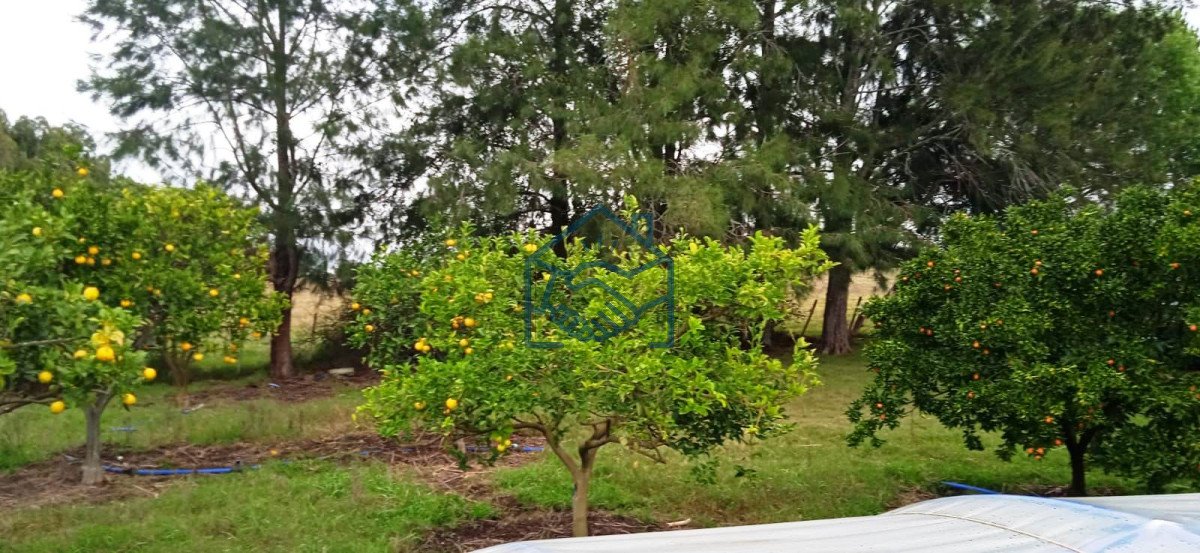 Chacra ID.556/Chacra-a-la-Venta-en--Uruguay--a-27-km-de--Punta-del-Este,-vivienda-con-piscina-climatizada,-huerta,-frutales - Chacra a la Venta en  Uruguay  a 27 km de  Punta del Este, vivienda con piscina climatizada, huerta, frutales
