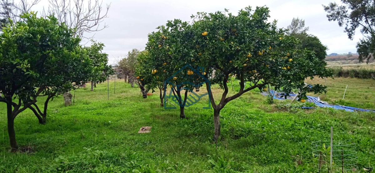 Chacra ID.556/Chacra-a-la-Venta-en--Uruguay--a-27-km-de--Punta-del-Este,-vivienda-con-piscina-climatizada,-huerta,-frutales - Chacra a la Venta en  Uruguay  a 27 km de  Punta del Este, vivienda con piscina climatizada, huerta, frutales