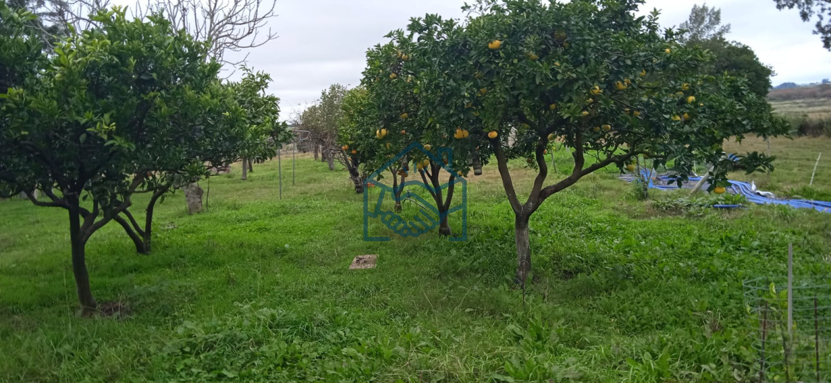 Chacra ID.556/Chacra-a-la-Venta-en--Uruguay--a-27-km-de--Punta-del-Este,-vivienda-con-piscina-climatizada,-huerta,-frutales - Chacra a la Venta en  Uruguay  a 27 km de  Punta del Este, vivienda con piscina climatizada, huerta, frutales