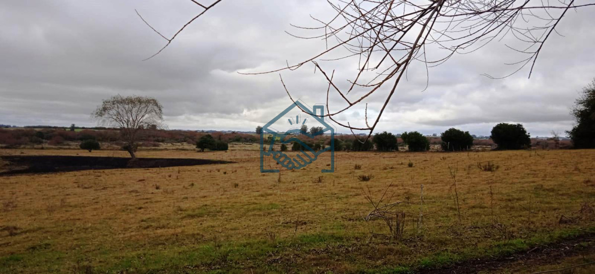 Chacra ID.556/Chacra-a-la-Venta-en--Uruguay--a-27-km-de--Punta-del-Este,-vivienda-con-piscina-climatizada,-huerta,-frutales - Chacra a la Venta en  Uruguay  a 27 km de  Punta del Este, vivienda con piscina climatizada, huerta, frutales