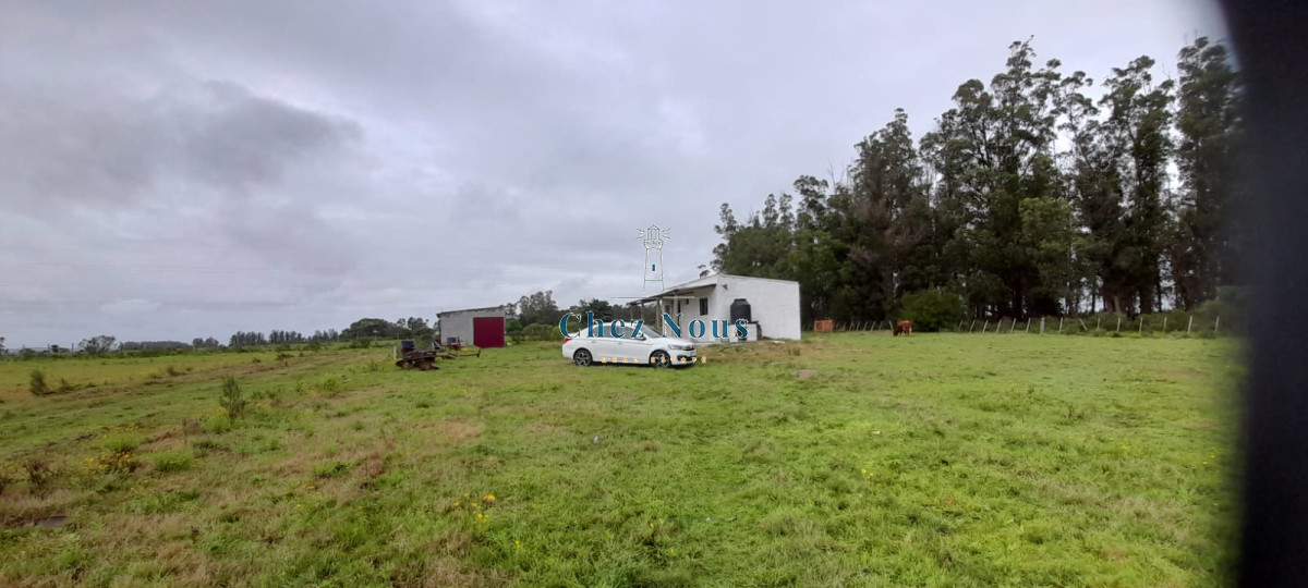 Chacra ID.363 - Chacra en venta en Camino Los Ceibos, a sólo  20 km de Punta del Este, 8 has con mejoras