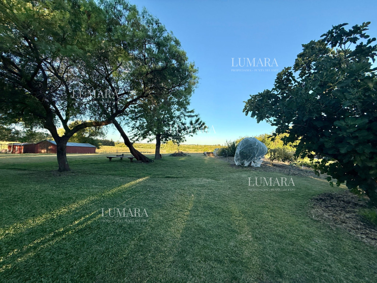 Chacra ID.376 - Chacra a la Venta en  Uruguay  a 27 km de  Punta del Este, vivienda con piscina climatizada, huerta, frutales