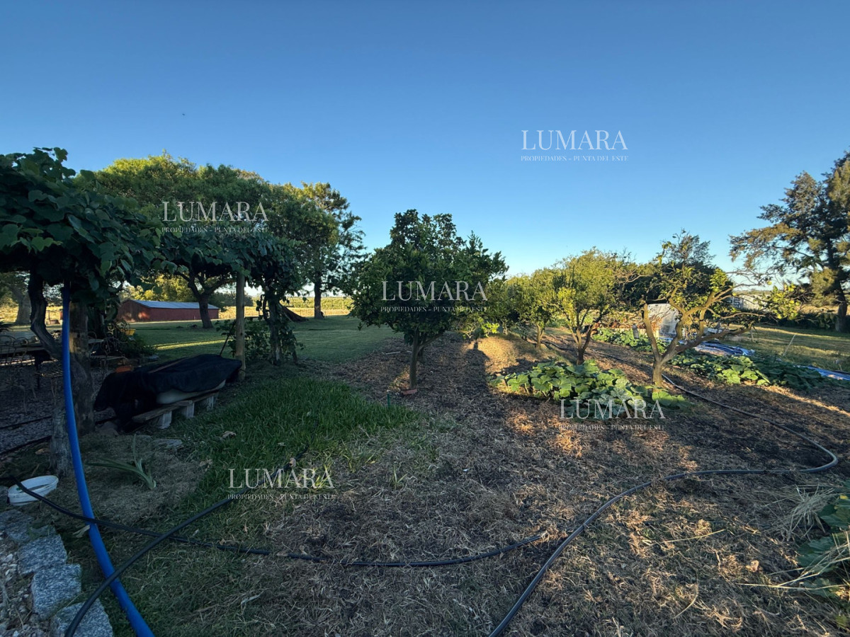 Chacra ID.376 - Chacra a la Venta en  Uruguay  a 27 km de  Punta del Este, vivienda con piscina climatizada, huerta, frutales