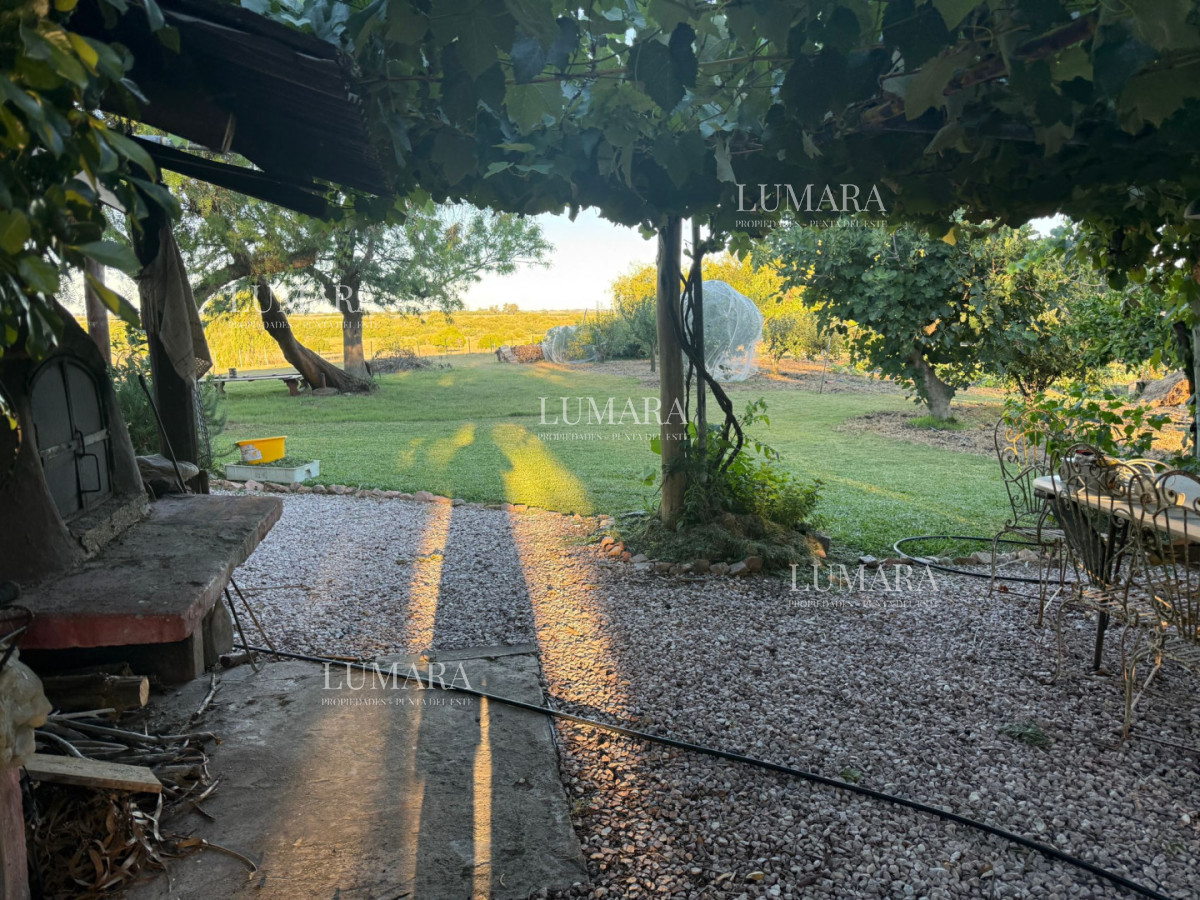 Chacra ID.376 - Chacra a la Venta en  Uruguay  a 27 km de  Punta del Este, vivienda con piscina climatizada, huerta, frutales