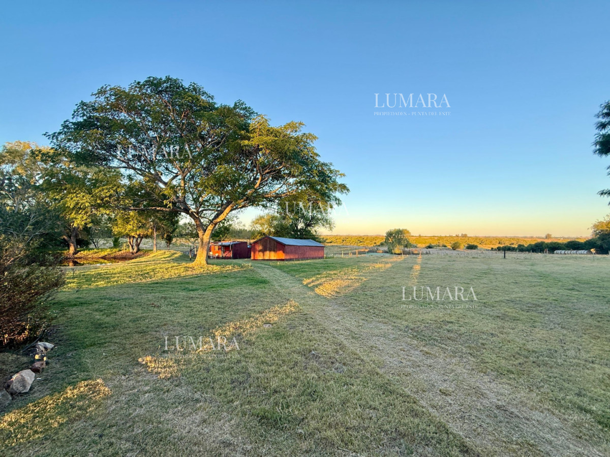 Chacra ID.376 - Chacra a la Venta en  Uruguay  a 27 km de  Punta del Este, vivienda con piscina climatizada, huerta, frutales