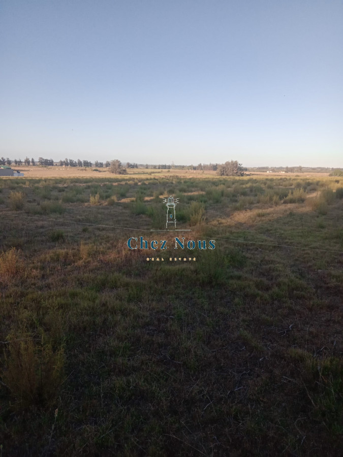 Chacra ID.363 - Chacra en venta en Camino Los Ceibos, a sólo  20 km de Punta del Este, 8 has con mejoras