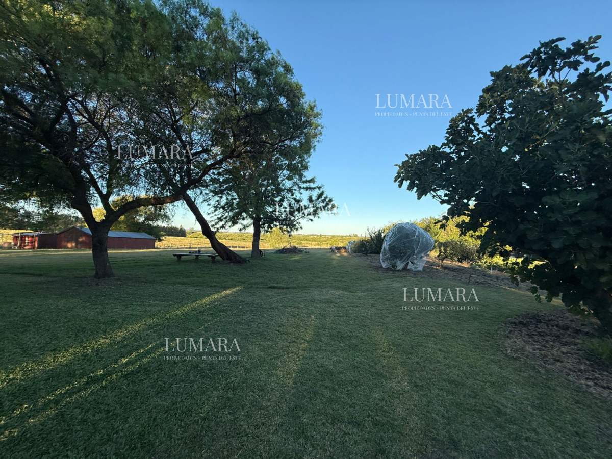 Chacra ID.376 - Chacra a la Venta en  Uruguay  a 27 km de  Punta del Este, vivienda con piscina climatizada, huerta, frutales