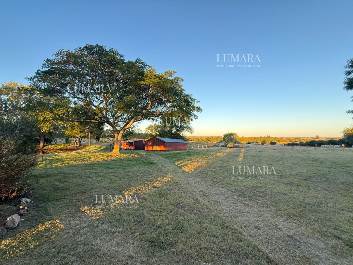 Chacra ID.376 - Chacra a la Venta en  Uruguay  a 27 km de  Punta del Este, vivienda con piscina climatizada, huerta, frutales