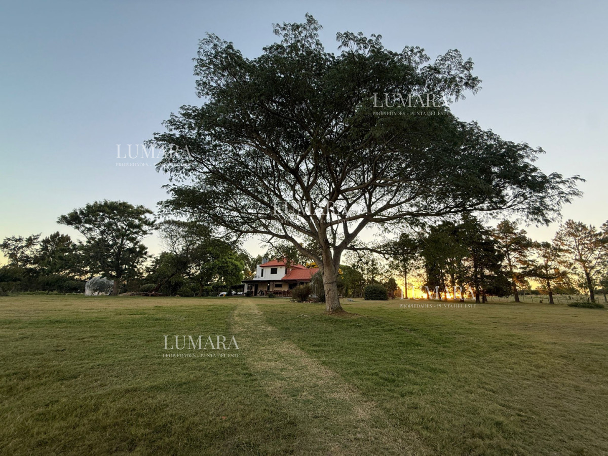 Chacra ID.376 - Chacra a la Venta en  Uruguay  a 27 km de  Punta del Este, vivienda con piscina climatizada, huerta, frutales