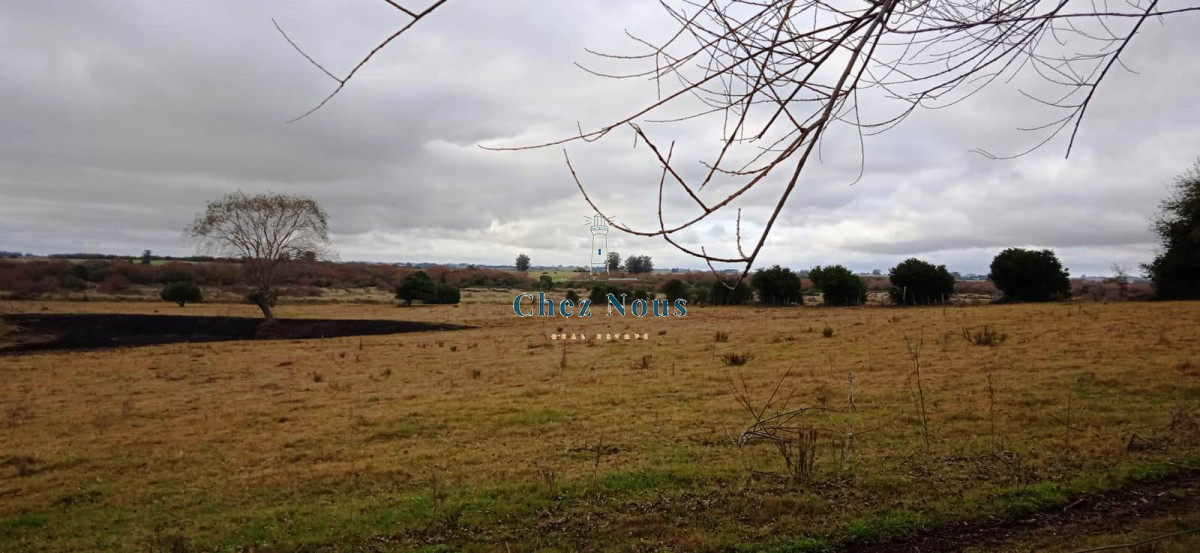 Chacra ID.376 - Chacra a la Venta en  Uruguay  a 27 km de  Punta del Este, vivienda con piscina climatizada, huerta, frutales