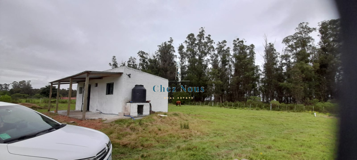 Chacra ID.363 - Chacra en venta en Camino Los Ceibos, a sólo  20 km de Punta del Este, 8 has con mejoras