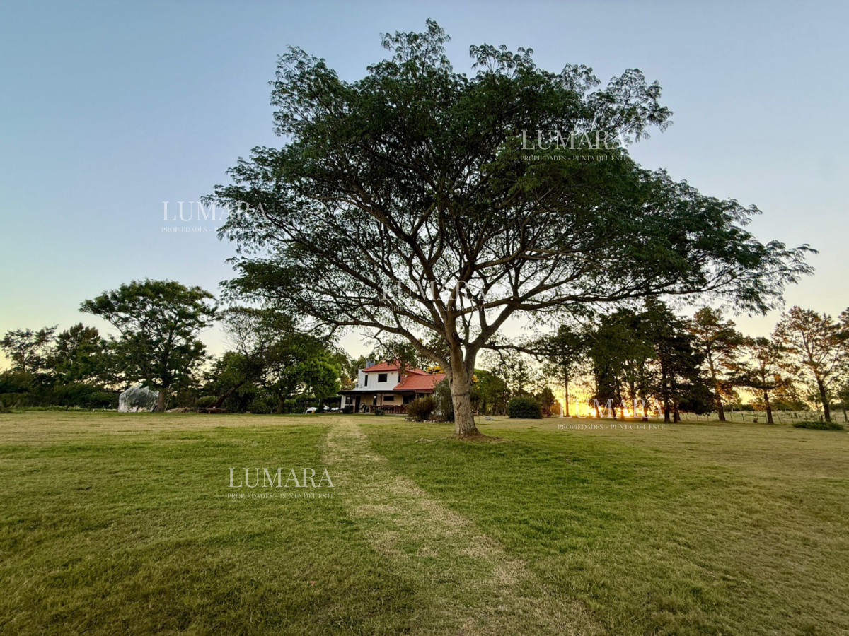 Chacra ID.376 - Chacra a la Venta en  Uruguay  a 27 km de  Punta del Este, vivienda con piscina climatizada, huerta, frutales