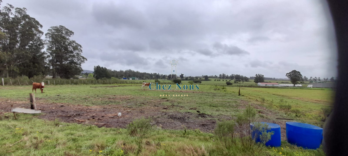 Chacra ID.363 - Chacra en venta en Camino Los Ceibos, a sólo  20 km de Punta del Este, 8 has con mejoras