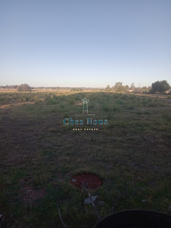 Chacra ID.363 - Chacra en venta en Camino Los Ceibos, a sólo  20 km de Punta del Este, 8 has con mejoras