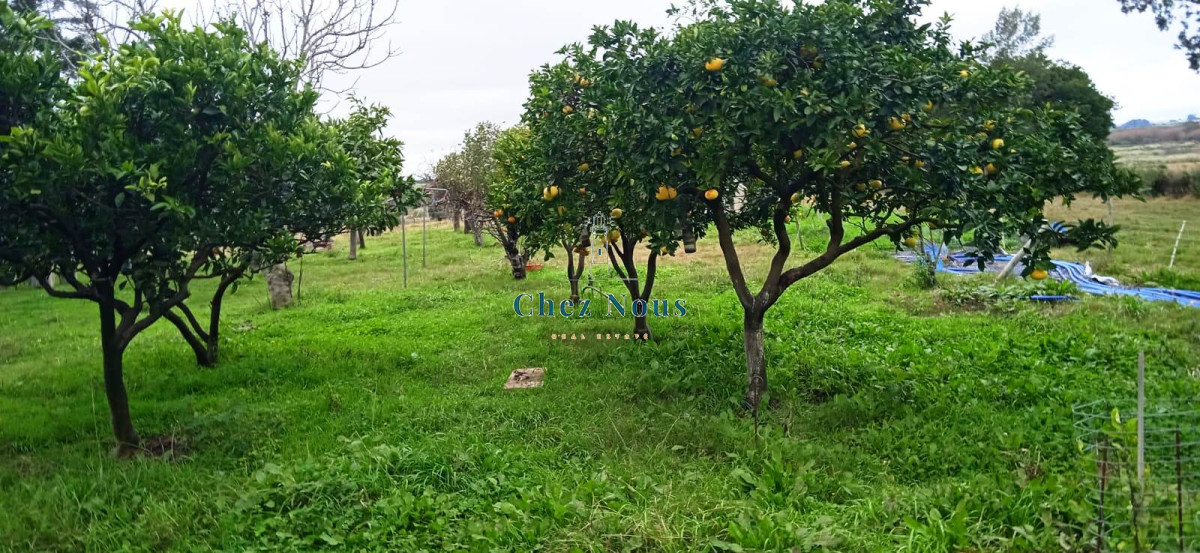 Chacra ID.376 - Chacra a la Venta en  Uruguay  a 27 km de  Punta del Este, vivienda con piscina climatizada, huerta, frutales