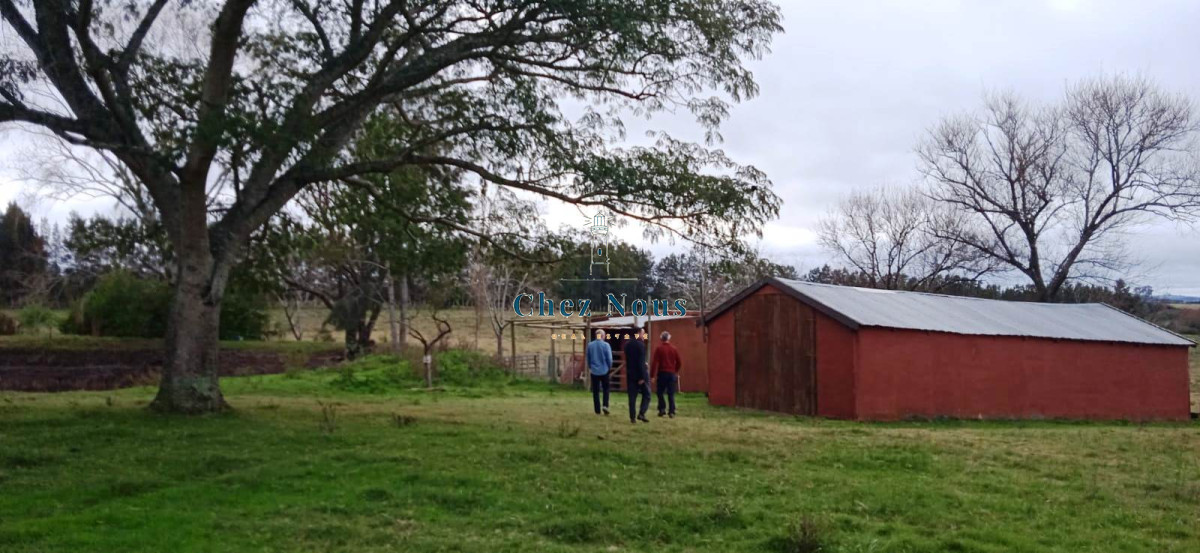 Chacra ID.376 - Chacra a la Venta en  Uruguay  a 27 km de  Punta del Este, vivienda con piscina climatizada, huerta, frutales