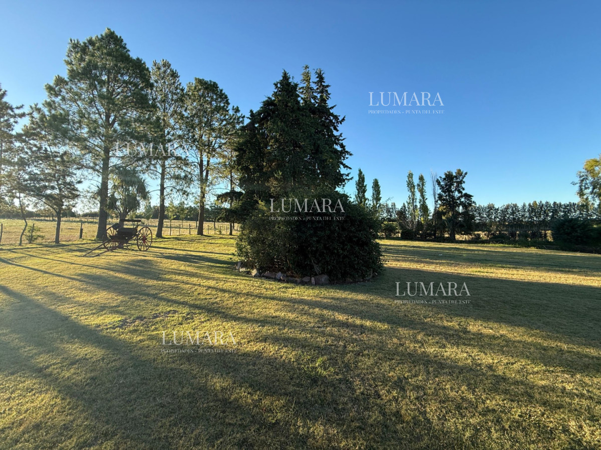 Chacra ID.376 - Chacra a la Venta en  Uruguay  a 27 km de  Punta del Este, vivienda con piscina climatizada, huerta, frutales