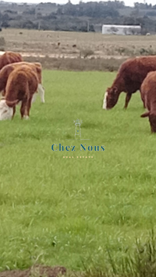 Chacra ID.363 - Chacra en venta en Camino Los Ceibos, a sólo  20 km de Punta del Este, 8 has con mejoras