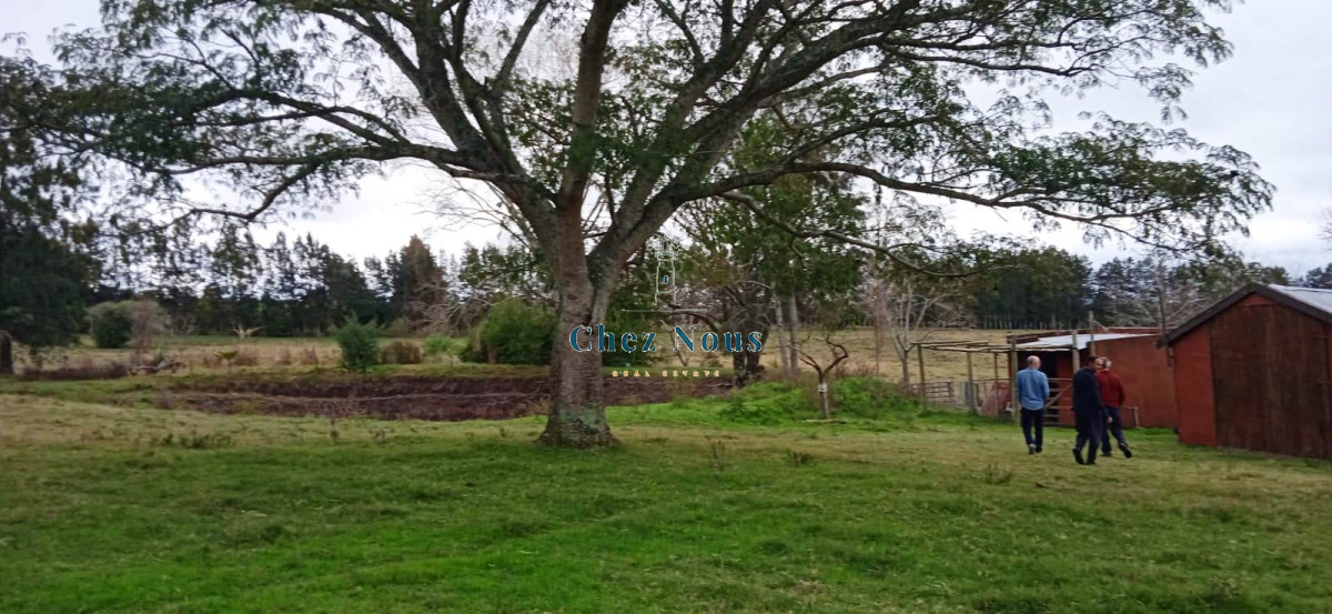 Chacra ID.376 - Chacra a la Venta en  Uruguay  a 27 km de  Punta del Este, vivienda con piscina climatizada, huerta, frutales