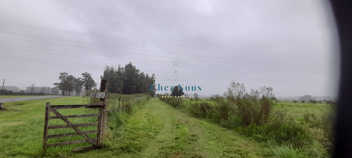 Chacra ID.363 - Chacra en venta en Camino Los Ceibos, a sólo  20 km de Punta del Este, 8 has con mejoras