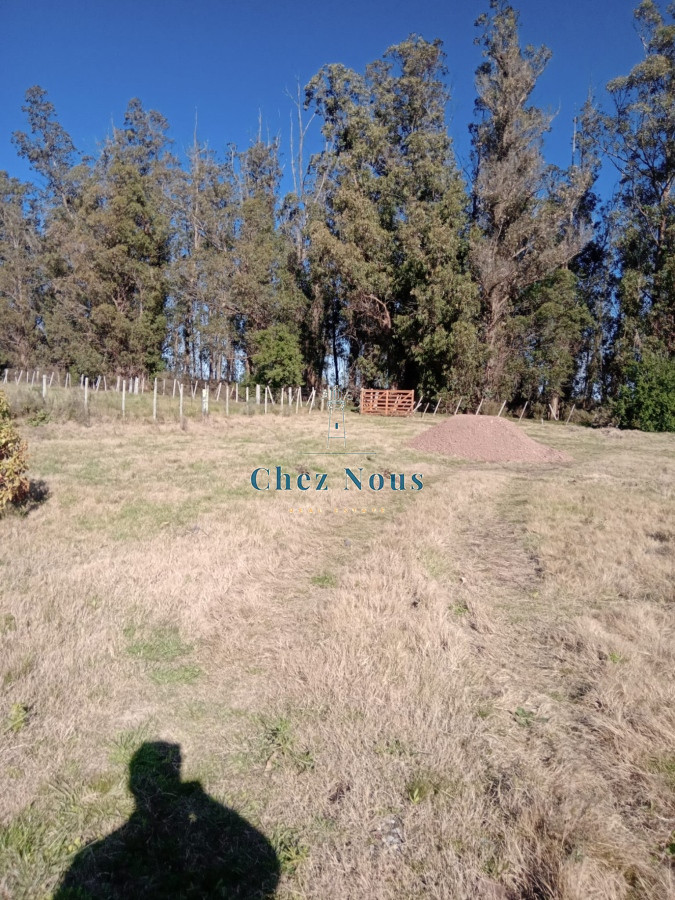 Chacra ID.363 - Chacra en venta en Camino Los Ceibos, a sólo  20 km de Punta del Este, 8 has con mejoras