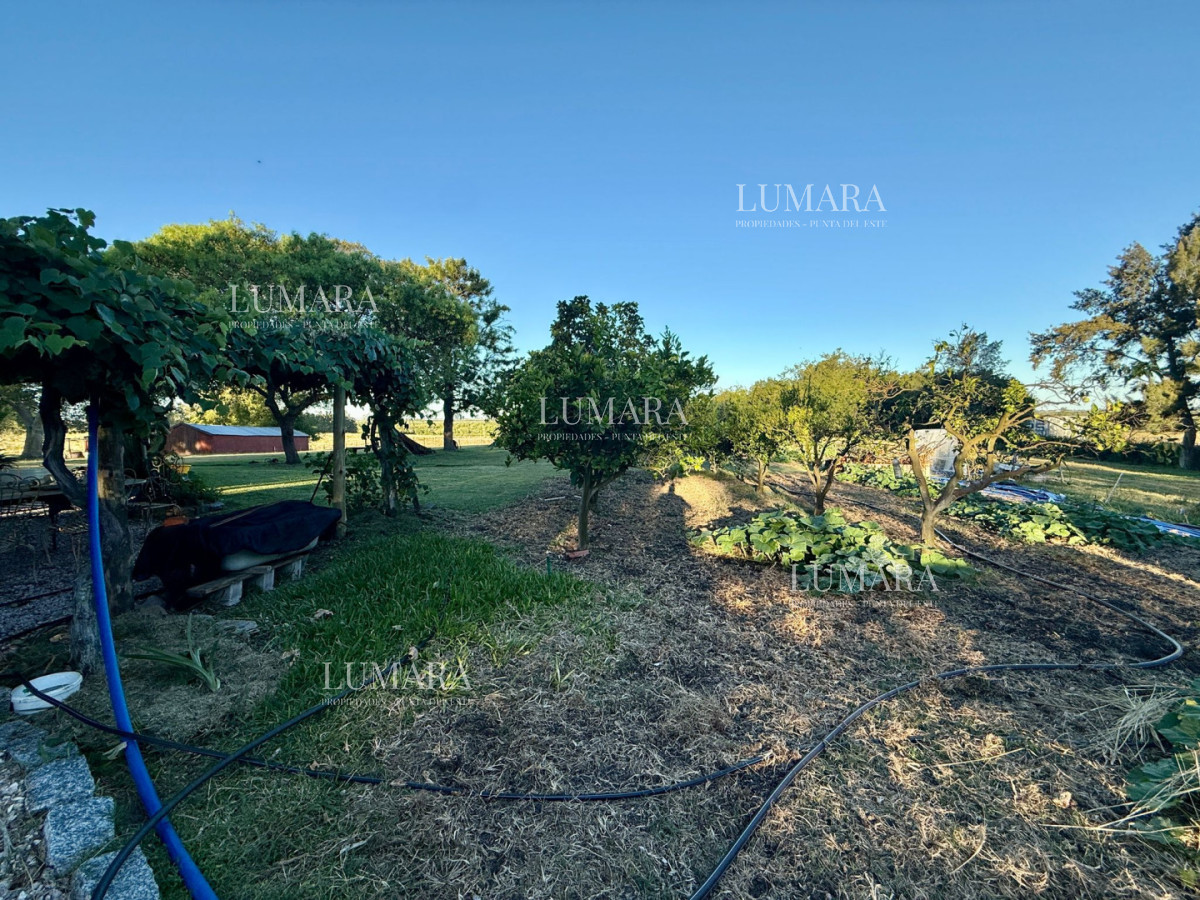 Chacra ID.376 - Chacra a la Venta en  Uruguay  a 27 km de  Punta del Este, vivienda con piscina climatizada, huerta, frutales