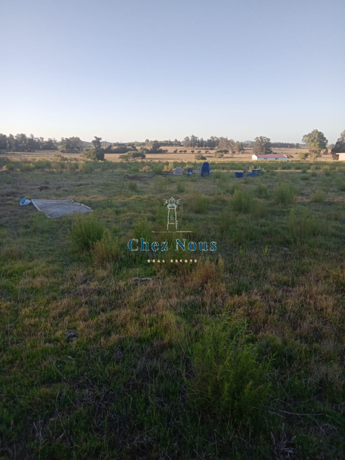 Chacra ID.363 - Chacra en venta en Camino Los Ceibos, a sólo  20 km de Punta del Este, 8 has con mejoras