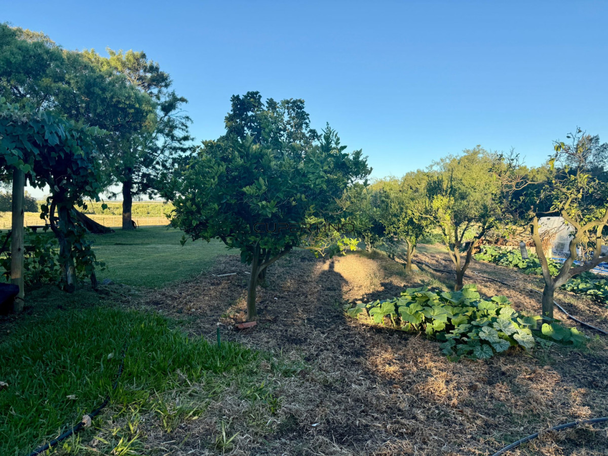 Chacra ID.307 - Chacra a la Venta en  Uruguay  a 27 km de  Punta del Este, vivienda con piscina climatizada, huerta, frutales