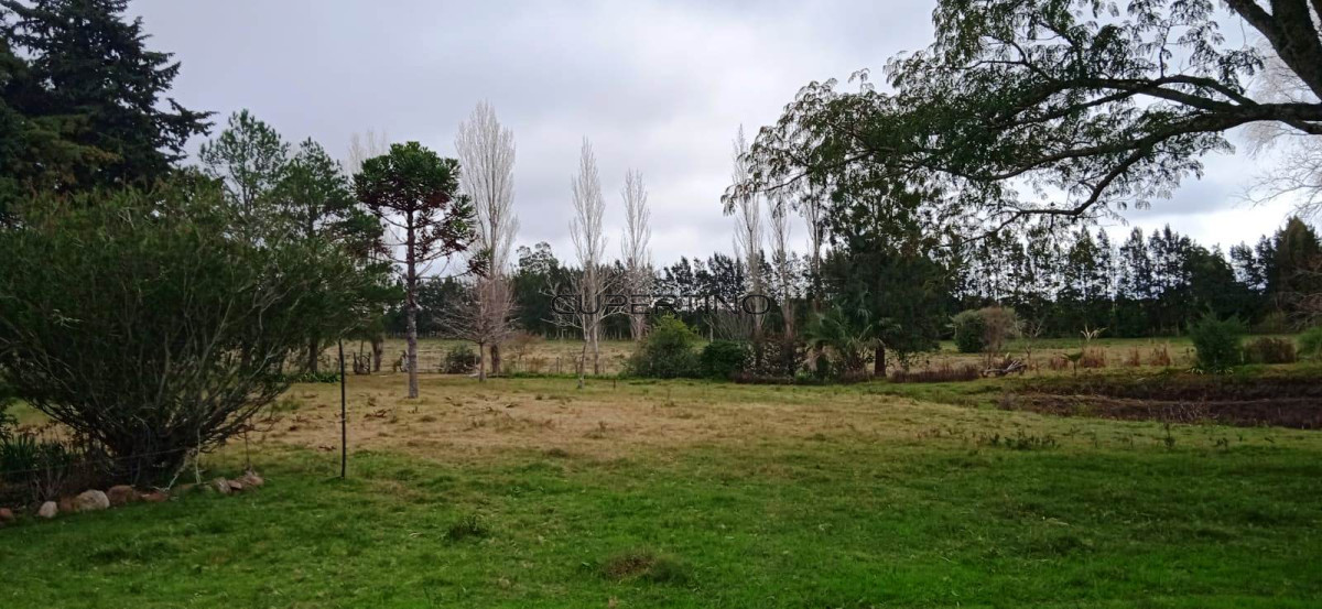 Chacra ID.307 - Chacra a la Venta en  Uruguay  a 27 km de  Punta del Este, vivienda con piscina climatizada, huerta, frutales
