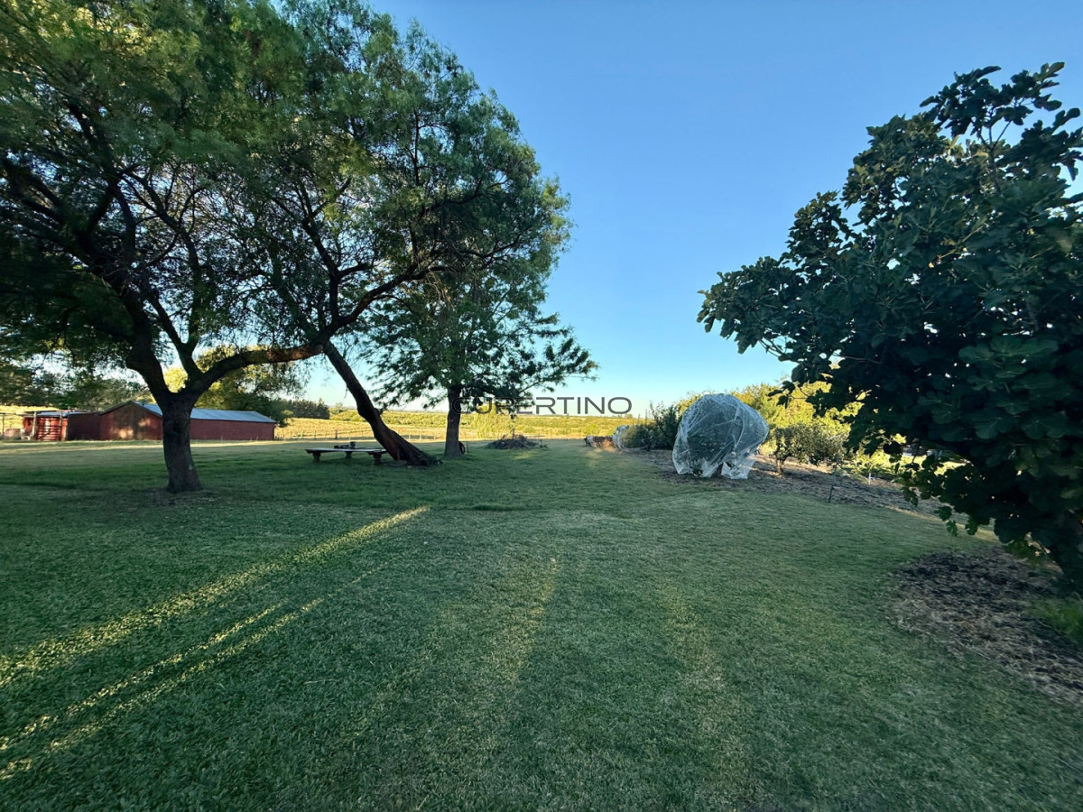 Chacra ID.307 - Chacra a la Venta en  Uruguay  a 27 km de  Punta del Este, vivienda con piscina climatizada, huerta, frutales