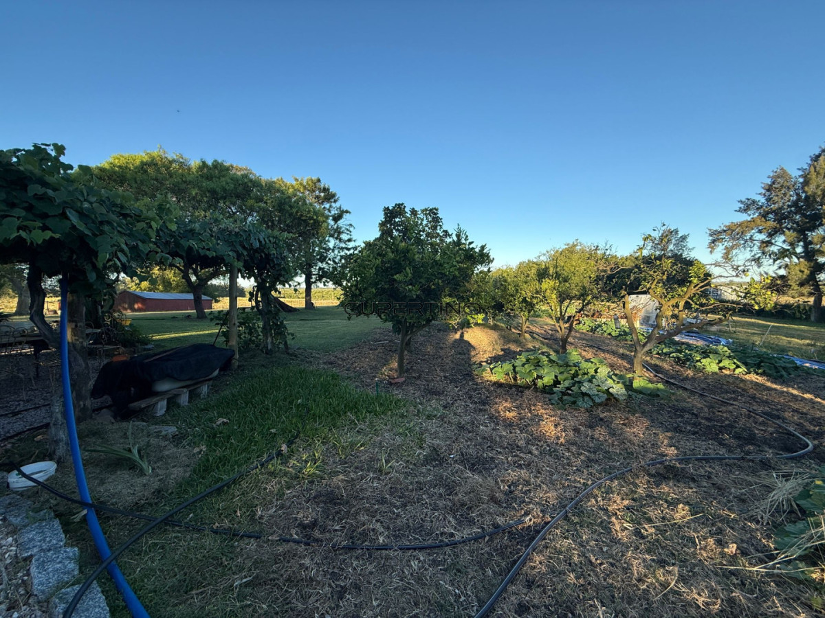 Chacra ID.307 - Chacra a la Venta en  Uruguay  a 27 km de  Punta del Este, vivienda con piscina climatizada, huerta, frutales