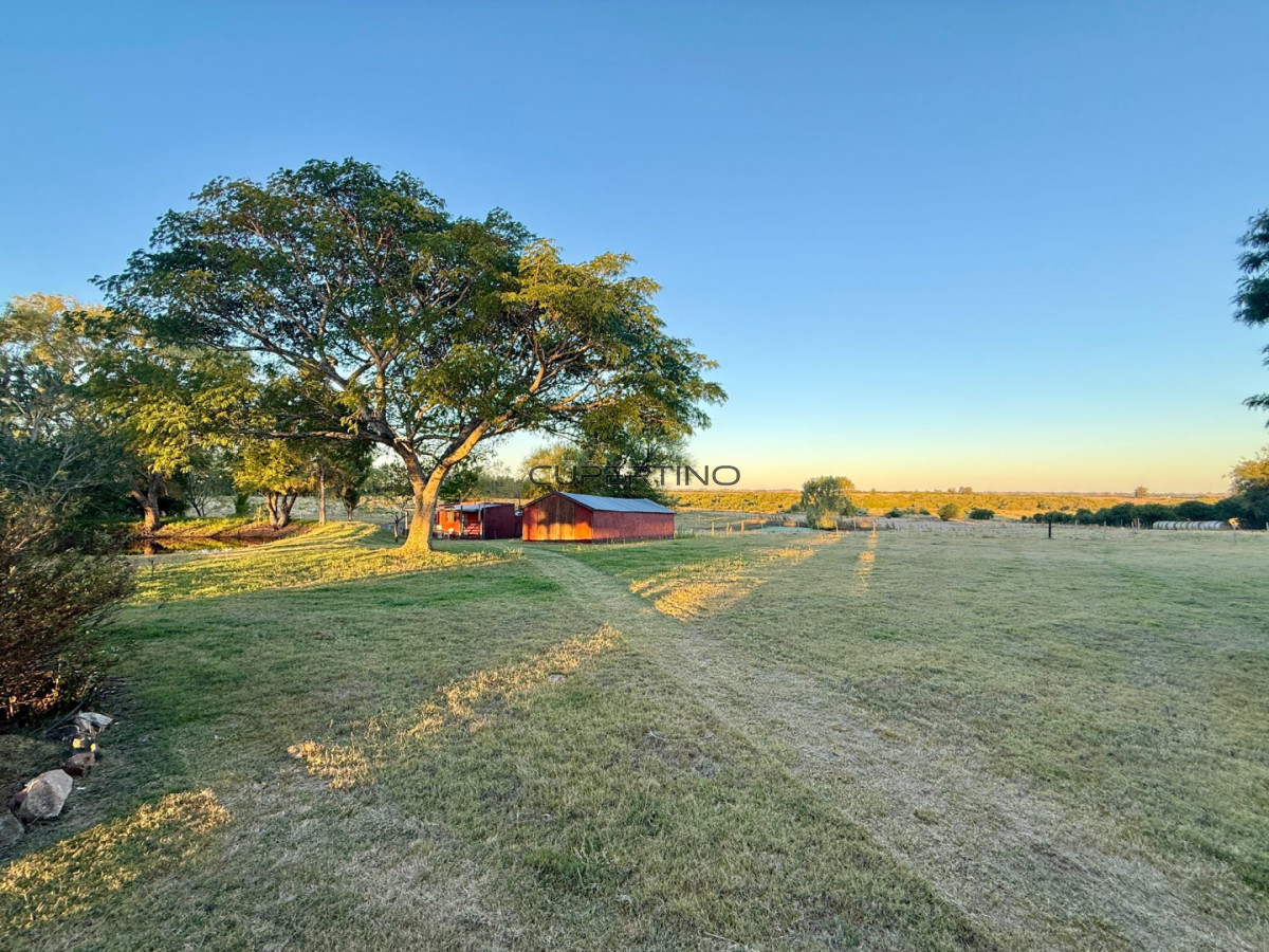 Chacra ID.307 - Chacra a la Venta en  Uruguay  a 27 km de  Punta del Este, vivienda con piscina climatizada, huerta, frutales