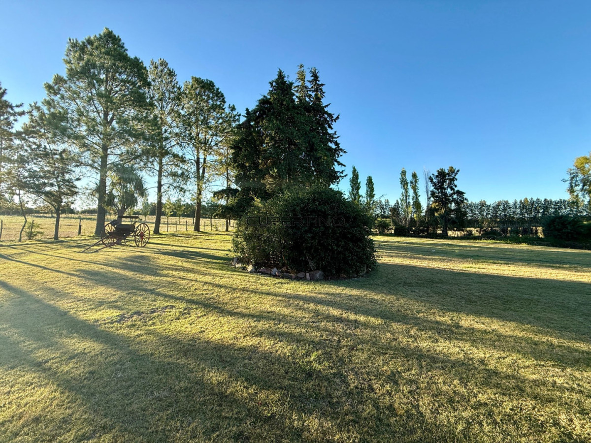 Chacra ID.307 - Chacra a la Venta en  Uruguay  a 27 km de  Punta del Este, vivienda con piscina climatizada, huerta, frutales