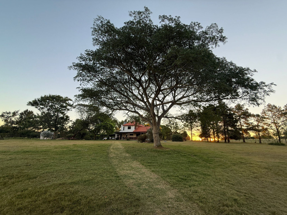 Chacra ID.307 - Chacra a la Venta en  Uruguay  a 27 km de  Punta del Este, vivienda con piscina climatizada, huerta, frutales
