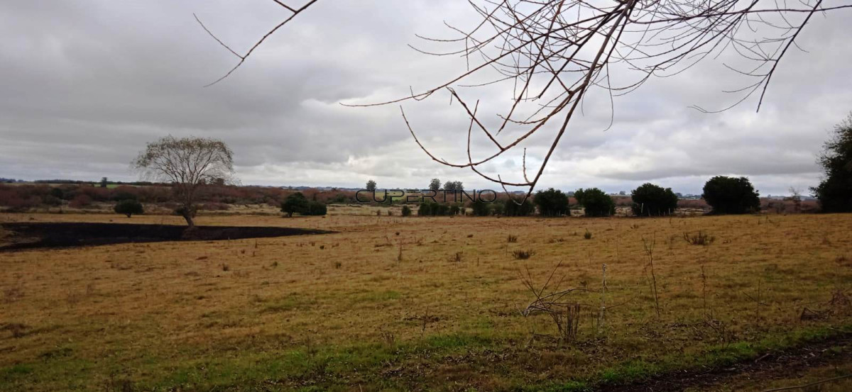 Chacra ID.307 - Chacra a la Venta en  Uruguay  a 27 km de  Punta del Este, vivienda con piscina climatizada, huerta, frutales