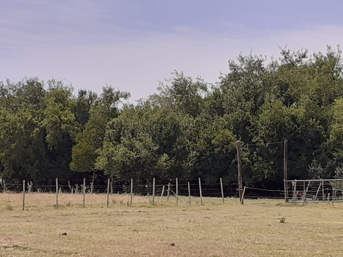 Chacra ID.307 - Chacra a la Venta en  Uruguay  a 27 km de  Punta del Este, vivienda con piscina climatizada, huerta, frutales