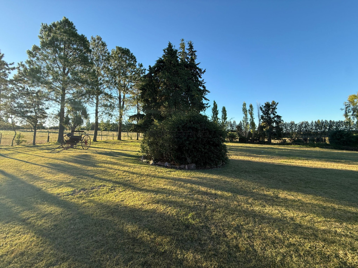 Chacra ID.307 - Chacra a la Venta en  Uruguay  a 27 km de  Punta del Este, vivienda con piscina climatizada, huerta, frutales