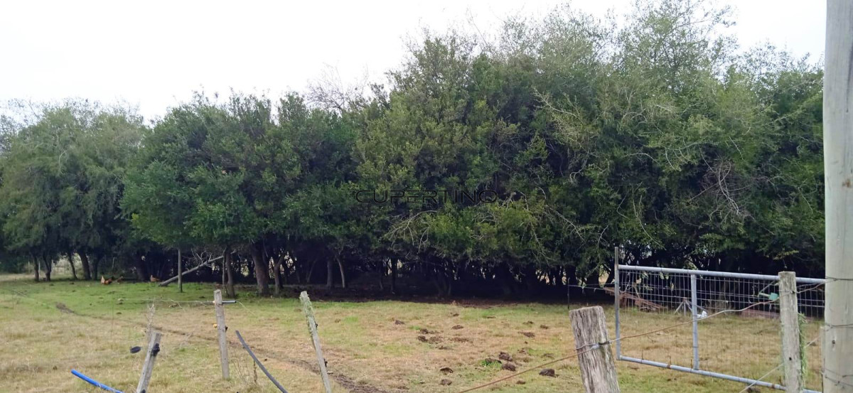 Chacra ID.307 - Chacra a la Venta en  Uruguay  a 27 km de  Punta del Este, vivienda con piscina climatizada, huerta, frutales