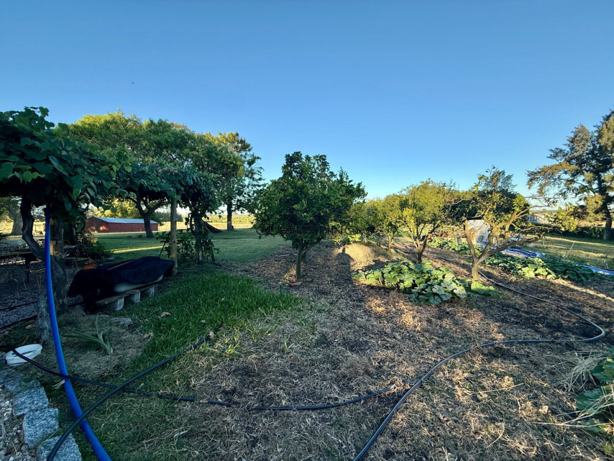 Chacra ID.307 - Chacra a la Venta en  Uruguay  a 27 km de  Punta del Este, vivienda con piscina climatizada, huerta, frutales