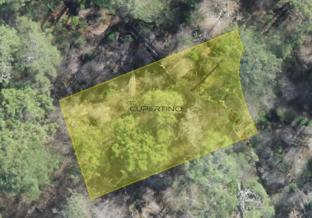 Terreno en Costa, Costa Bonita — foto 3