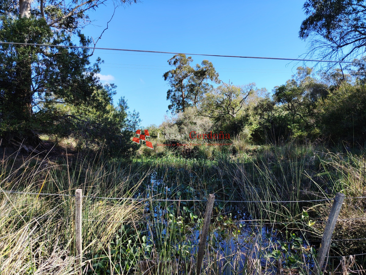 Chacra ID.1891 - Venta de chacra en Ruta 9 y 12 casi 5 hás con costa cañada permanente Muy buen entorno