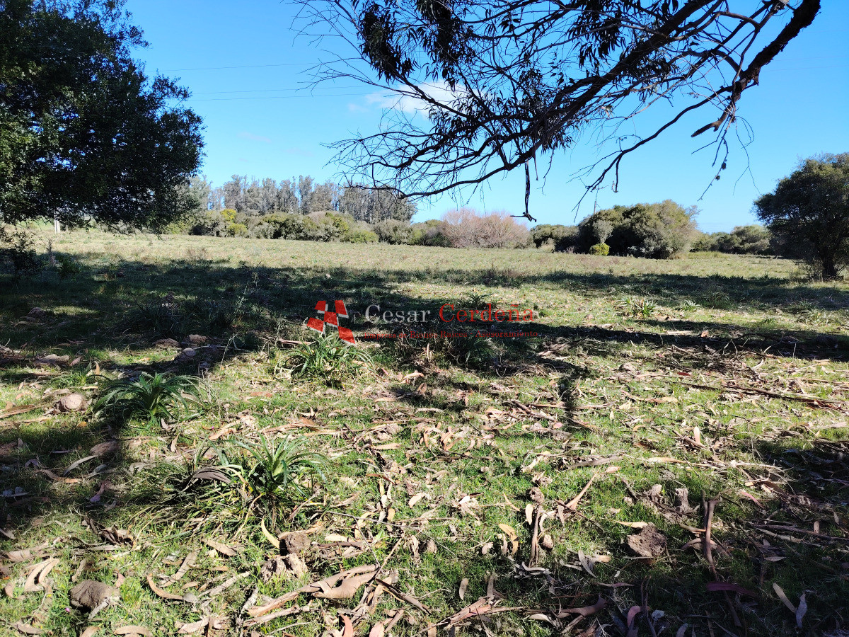 Chacra ID.1891 - Venta de chacra en Ruta 9 y 12 casi 5 hás con costa cañada permanente Muy buen entorno
